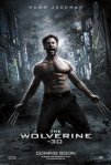 The wolverine